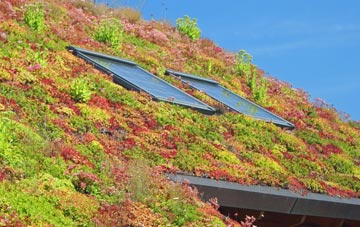 Thorpe Waterville living roof systems
